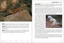Mammals of Arizona Field Guide