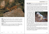 Mammals of Arizona Field Guide