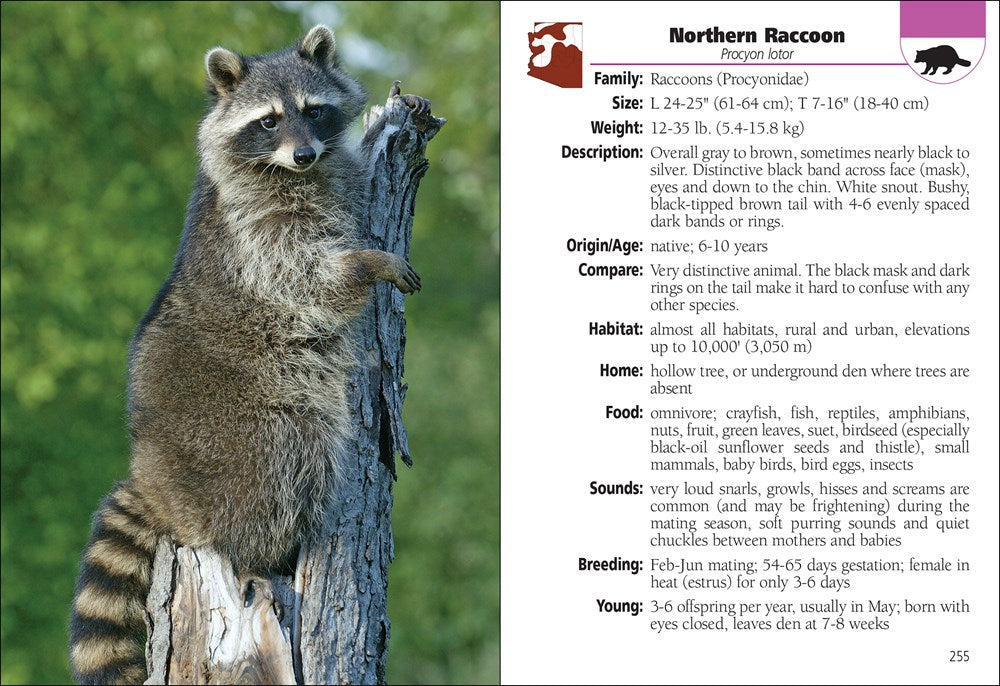 Mammals of Arizona Field Guide