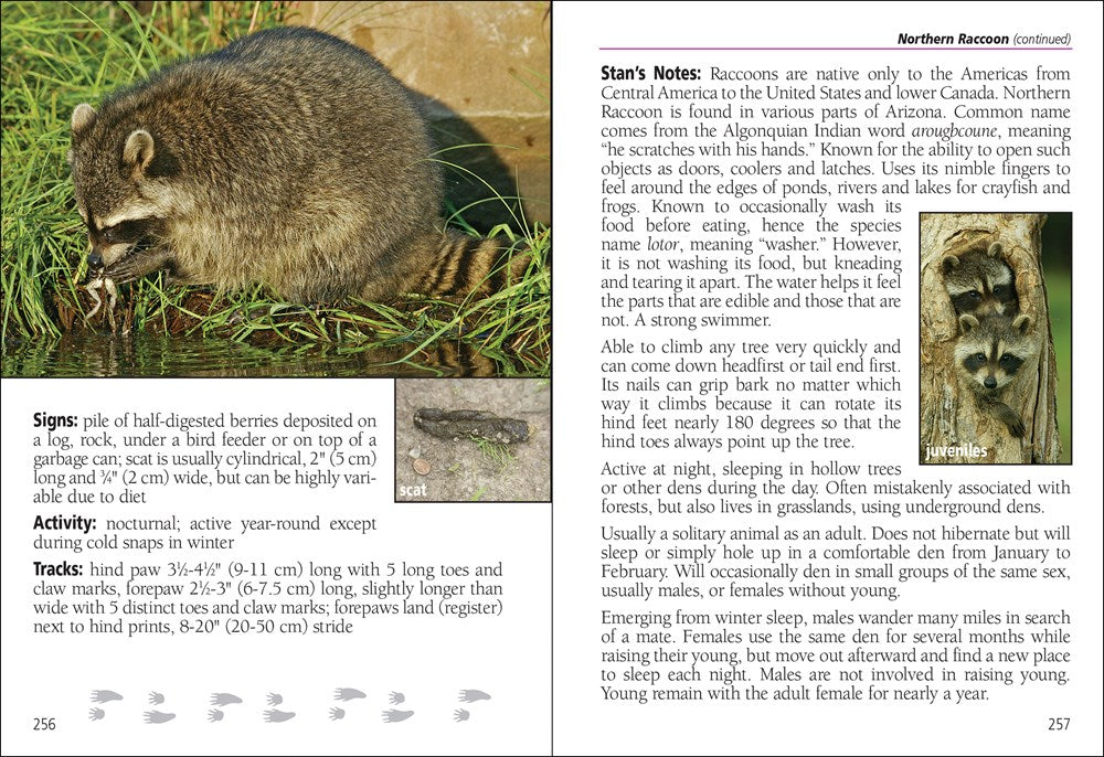 Mammals of Arizona Field Guide
