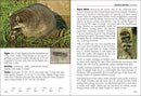Mammals of Arizona Field Guide