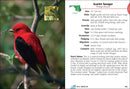 Birds of Maryland & Delaware Field Guide