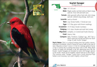 Birds of Maryland & Delaware Field Guide