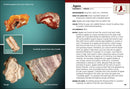 Colorado Rocks & Minerals