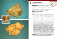 Colorado Rocks & Minerals