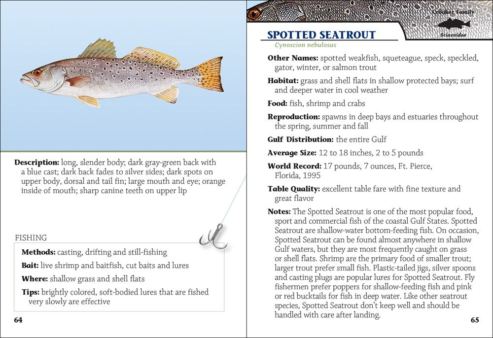 Saltwater Sport Fish of the Gulf Field Guide