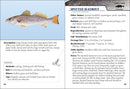 Saltwater Sport Fish of the Gulf Field Guide
