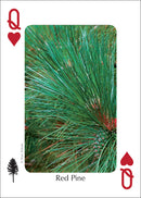 Trees of the Midwest Playing Cards