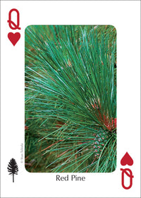 Trees of the Midwest Playing Cards