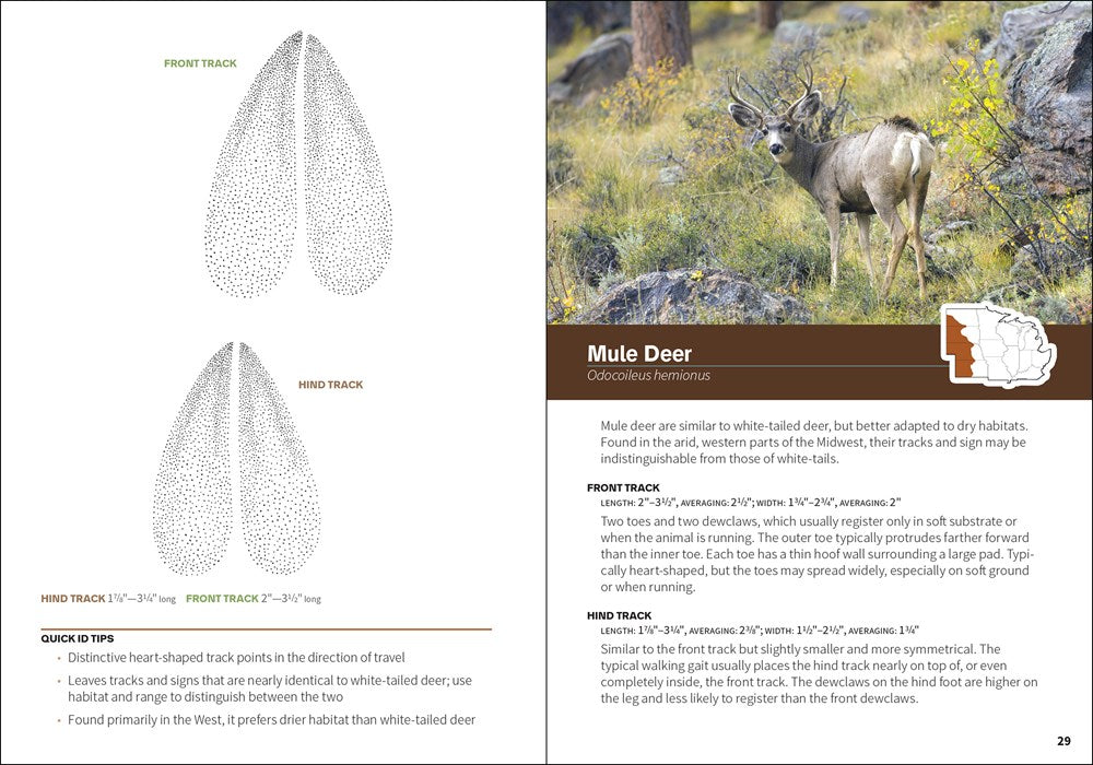 Animal Tracks of the Midwest Field Guide