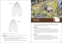 Animal Tracks of the Midwest Field Guide