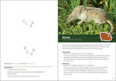 Animal Tracks of the Midwest Field Guide