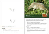 Animal Tracks of the Midwest Field Guide