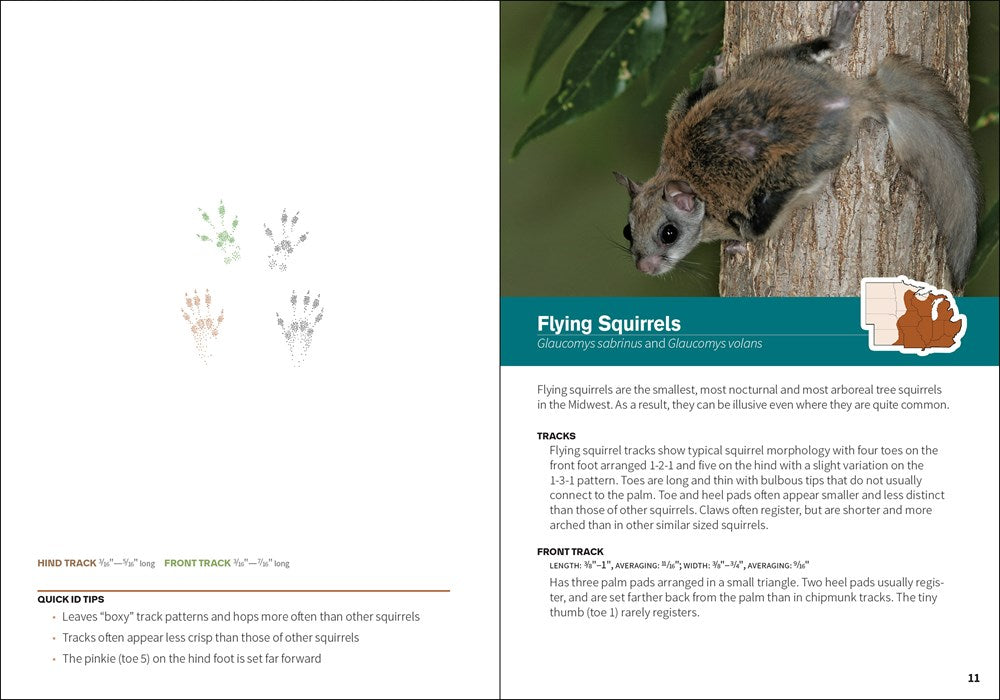 Animal Tracks of the Midwest Field Guide