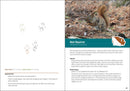Animal Tracks of the Midwest Field Guide