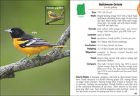 Birds of New Hampshire & Vermont Field Guide