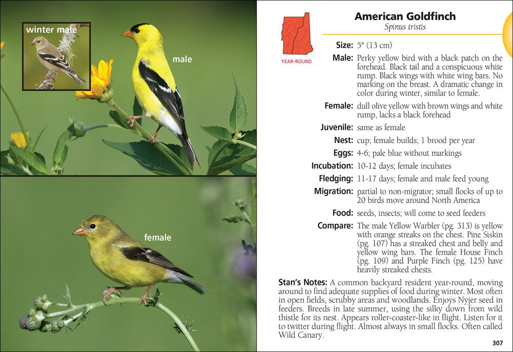 Birds of New Hampshire & Vermont Field Guide