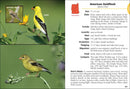 Birds of New Hampshire & Vermont Field Guide
