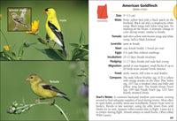 Birds of New Hampshire & Vermont Field Guide