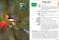 Birds of Wyoming Field Guide