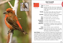 Birds of Wyoming Field Guide