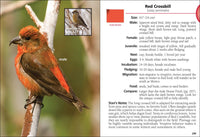 Birds of Wyoming Field Guide
