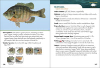 Fish of Minnesota Field Guide