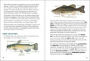Fish of Minnesota Field Guide