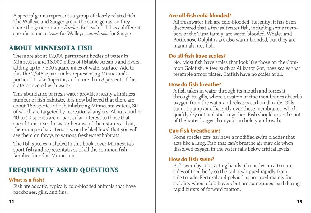 Fish of Minnesota Field Guide