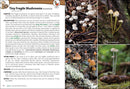 Mushrooms of the Northwest