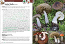 Mushrooms of the Northwest