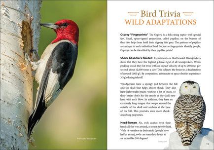 Bird Trivia: Funny, Strange and Incredible Facts about North American Birds