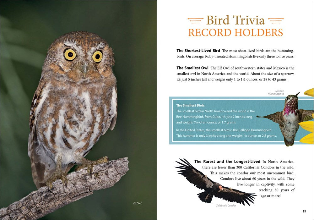 Bird Trivia: Funny, Strange and Incredible Facts about North American Birds