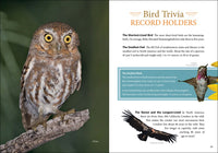 Bird Trivia: Funny, Strange and Incredible Facts about North American Birds