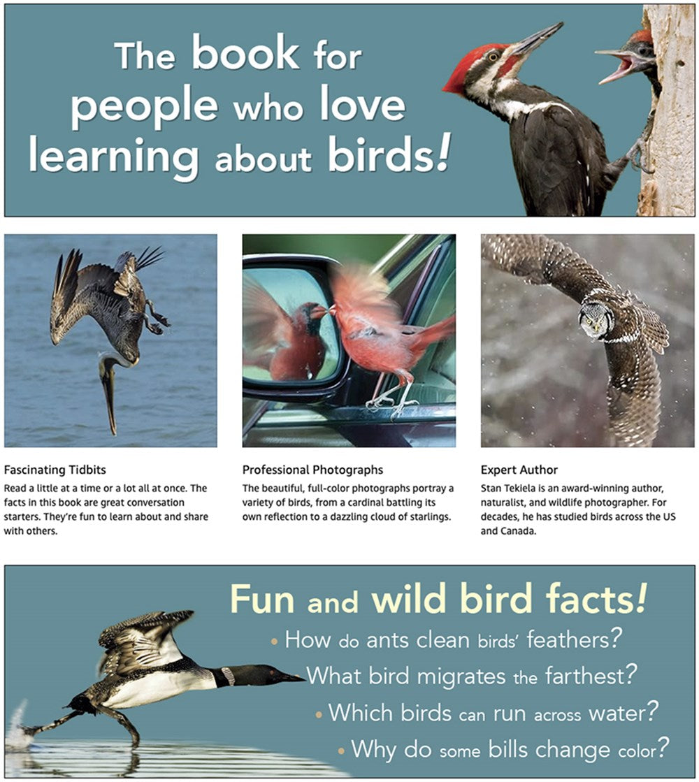 Bird Trivia: Funny, Strange and Incredible Facts about North American Birds