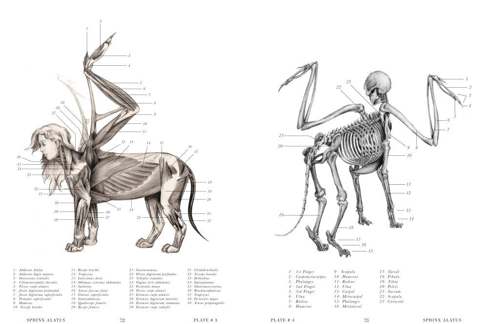 The Resurrectionist: The Lost Work of Dr. Spencer Black