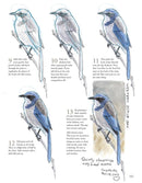 The Laws Guide to Nature Drawing and Journaling