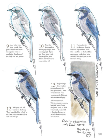The Laws Guide to Nature Drawing and Journaling