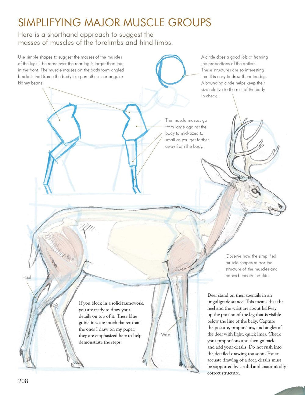 The Laws Guide to Nature Drawing and Journaling