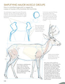 The Laws Guide to Nature Drawing and Journaling
