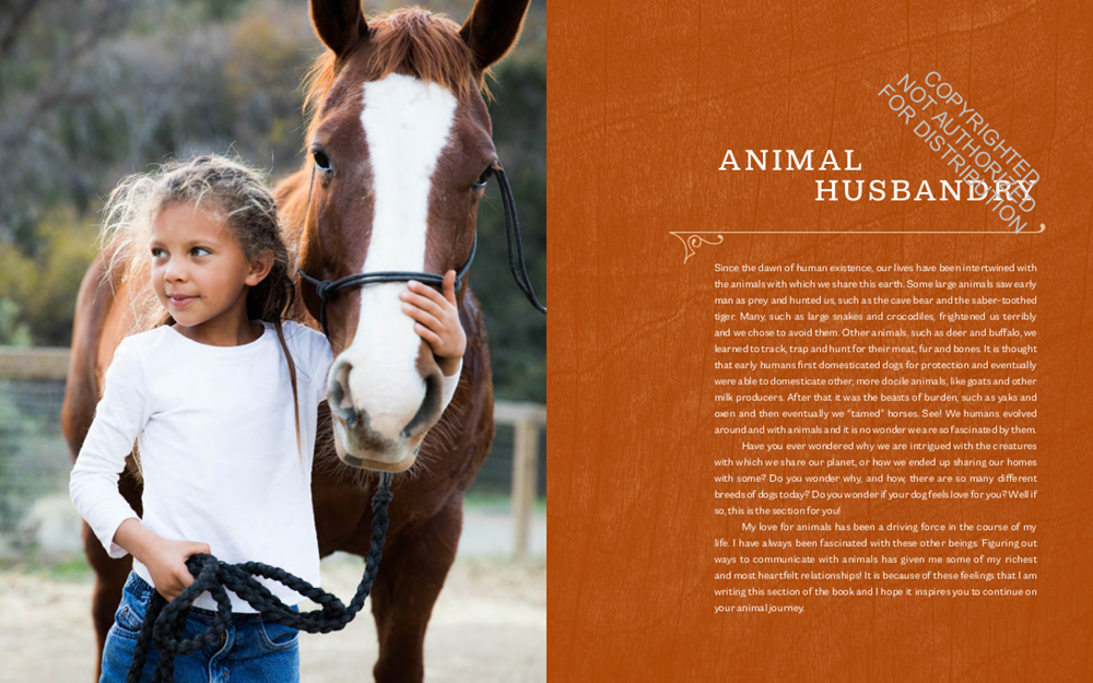 The Children's Heritage Sourcebook