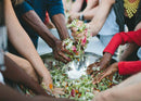 Wild Fermentation