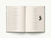 Aesop's Fables Hardcover