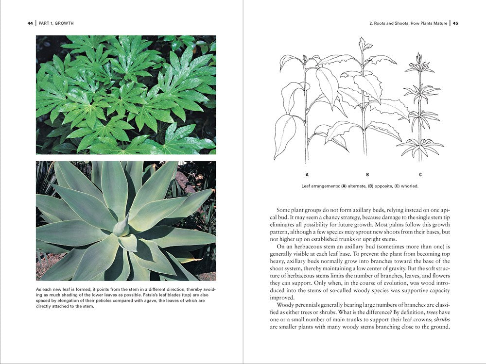 Botany for Gardeners