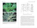 Botany for Gardeners