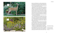 50 Beautiful Deer-Resistant Plants