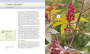 50 Beautiful Deer-Resistant Plants