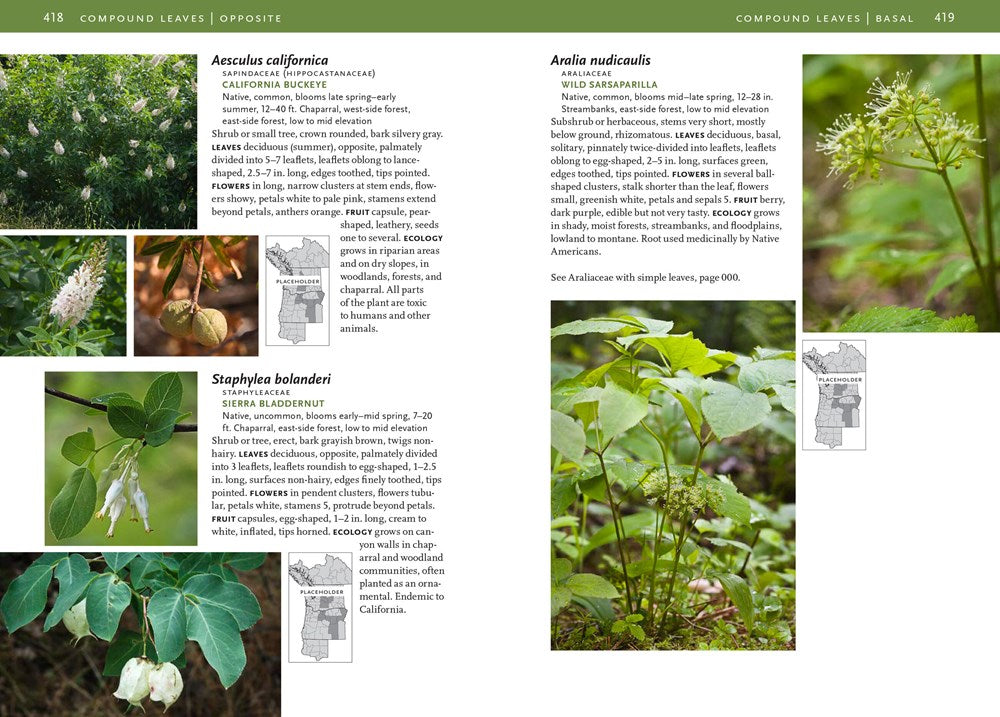 Trees and Shrubs of the Pacific Northwest