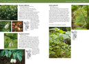 Trees and Shrubs of the Pacific Northwest