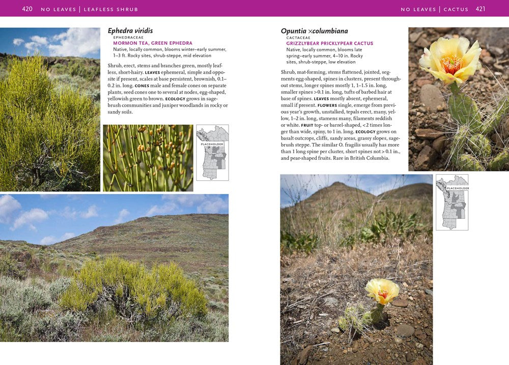 Trees and Shrubs of the Pacific Northwest